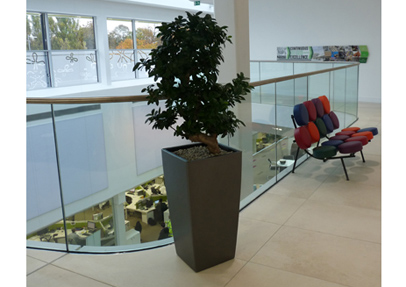 Stylish balustrades from Sapphire ensure sweet success for Confectionery Development Centre